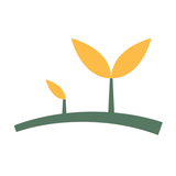 MUSTARD SEED EDUCATION FOUNDATION